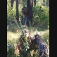 gallery_photo_0_298